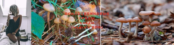 мескалин Горняк