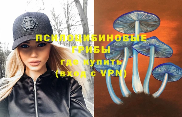 а пвп мука Горно-Алтайск