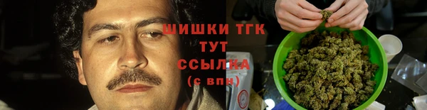 сатива Горнозаводск