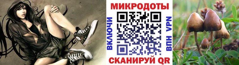 цена наркотик  Дмитров  Галлюциногенные грибы прущие грибы 